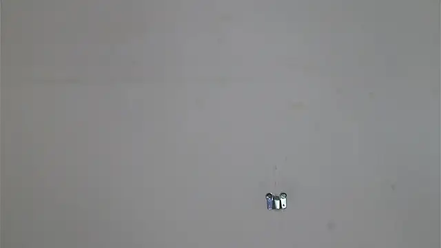 Isabelle_Lane Adlı Modelin Canlı XXX Sohbeti