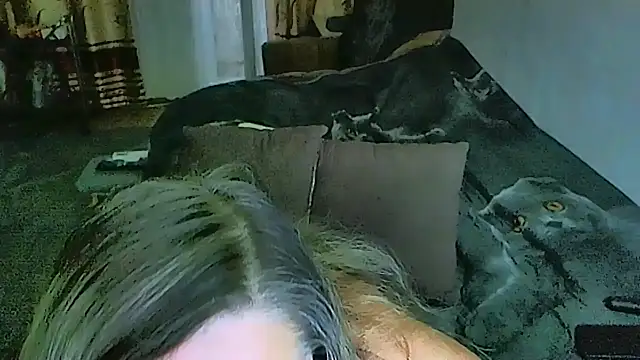 Chat XXX ao vivo de sex2