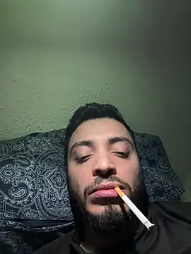 Show webcam de SoftAmjad