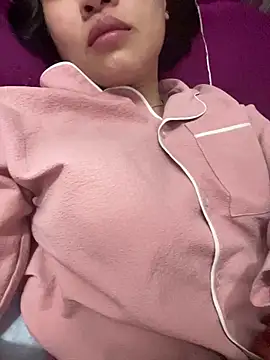 An-2k 网络视讯表演