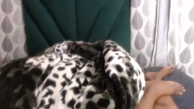 แชท XXX สดของ Nellybba