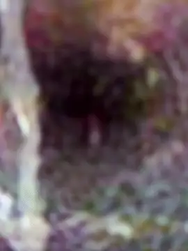 le-couple-en-chaleur_n Webbikameraesitys