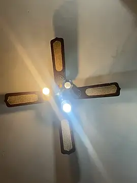 Show Webcam de SucculentSexiness0