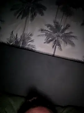 007addi's Webcam Show