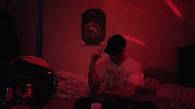 Show webcam de hailzeffn