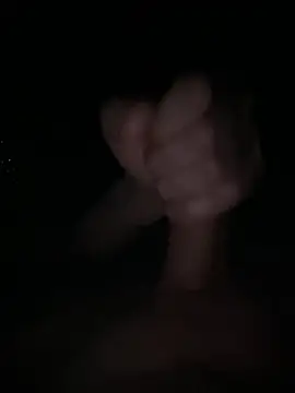 Show Webcam de amineux