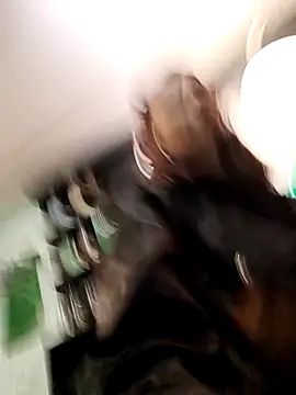 Dannial51's Live XXX Chat