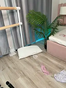 MilliMouse 웹캠 쇼