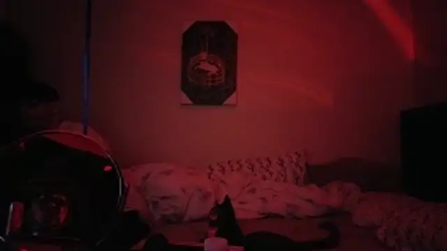 Chat XXX en directo de hailzeffn