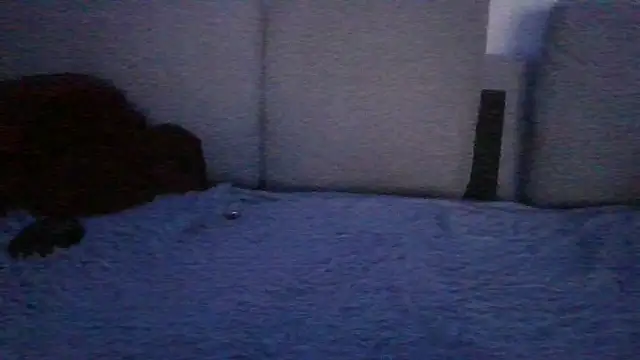 Show webcam de Chichoplus1