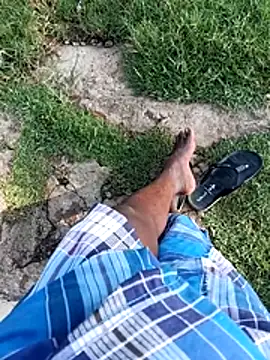 Show modela dolphiinn na web-kameri