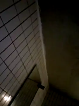 Benutzt-er 在線直播表演