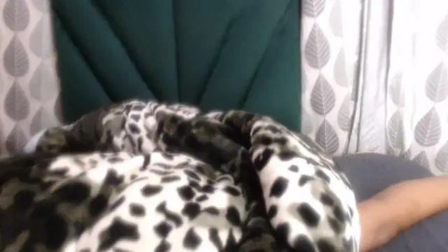 Nellybba 现场XXX聊天