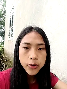 Pertunjukan Kamera Web Hoa-tuylip