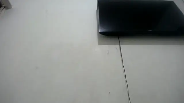 Foxy_Lovex Webcamshow