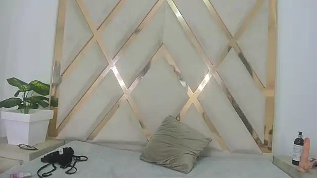 Selenaasm 现场XXX聊天