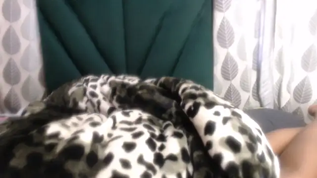 Nellybba Live XXX-chat