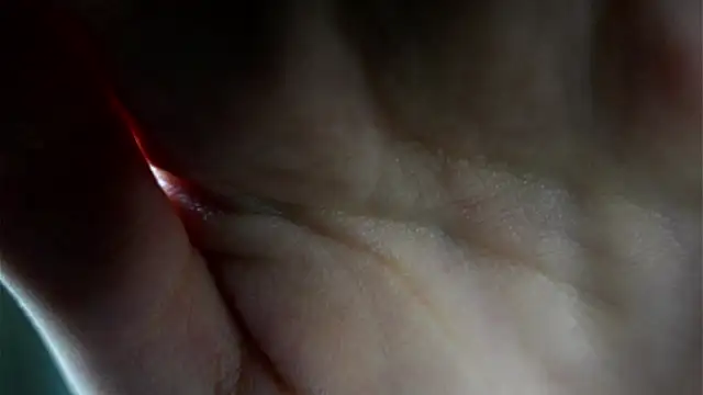 HermaFrain 라이브 XXX 채팅