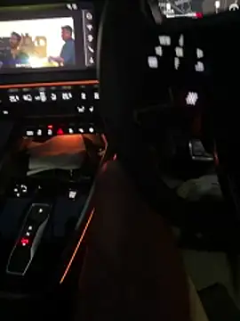 Yorkshire-Naturist – Kamerová šou