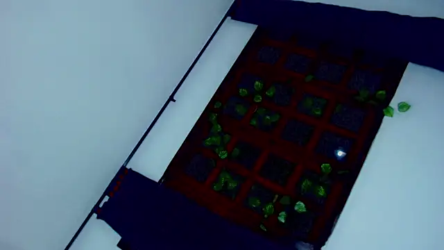 laaura_dolll: вебкам-шоу