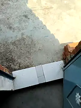 Živý XXX chat Desii_rockstarr