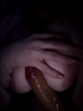 Show Webcam de ludderlotta