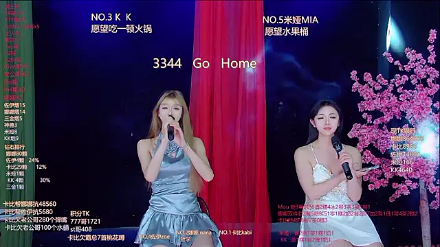 LC-999のウェブカメラショー