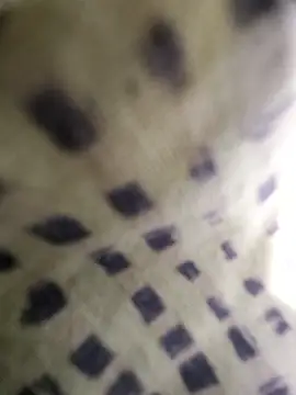 zxc9090zxc Show Webcam