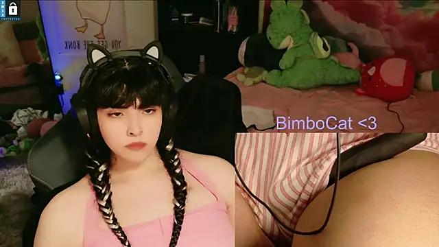 Show Webcam de BimboCat