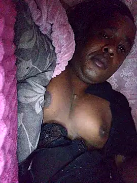 Hellentrans24 webkamerás műsora