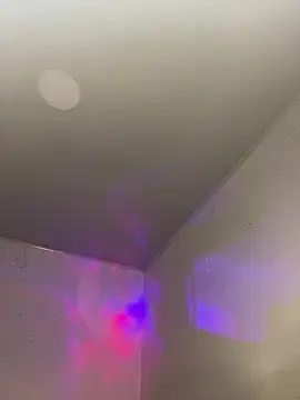 Živý XXX chat maximo_torreychelli