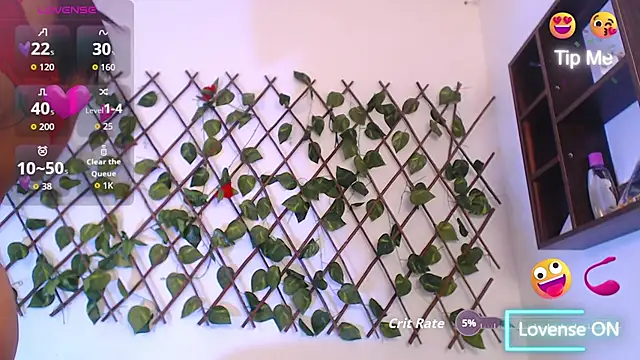 Giinger_gap Adlı Modelin Canlı XXX Sohbeti