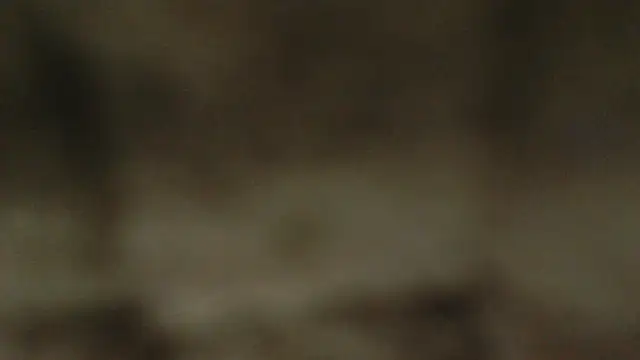 Salome_Vivas Live XXX-Chat