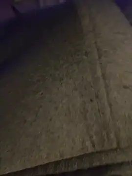 Steve199922 webcam show