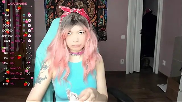 Project_hisoka Webcam-Show