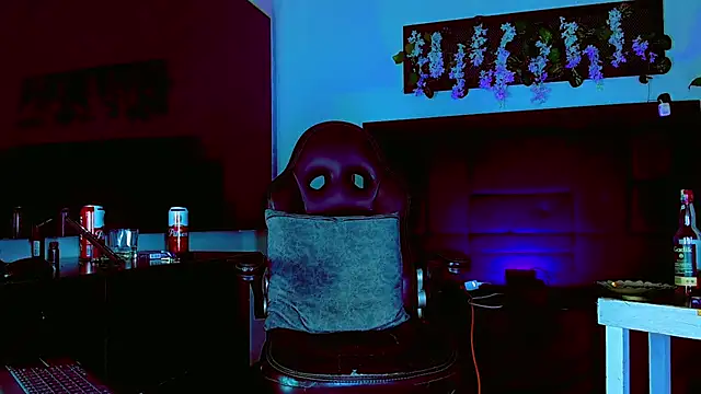 Show Webcam de HannibalLester