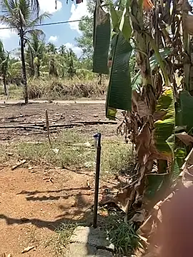 _Cute_ariana_ Obrolan Langsung XXX