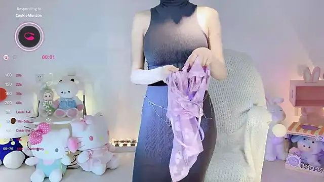 Show Webcam de Irene---