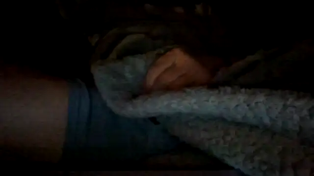 Show de Bigloggz na webcam