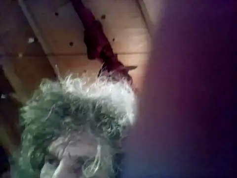 Show webcam de OldManOnline