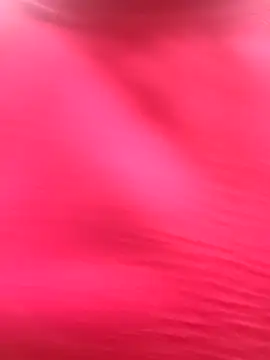 Hoa-tuylipn Webbikameraesitys