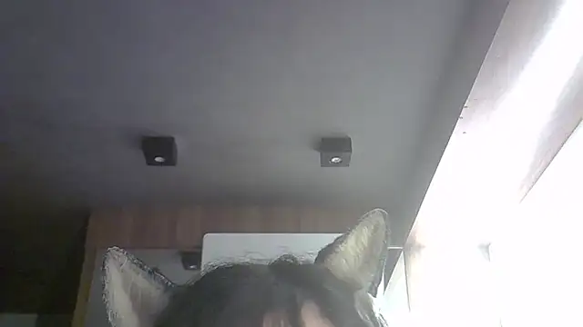 Chat XXX ao vivo de SkinnyKitten