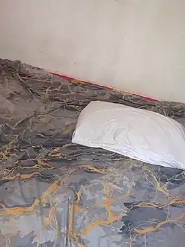 TropicalDuoSLのウェブカメラショー