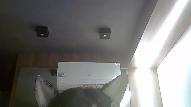 SkinnyKitten Adlı Modelin Canlı XXX Sohbeti