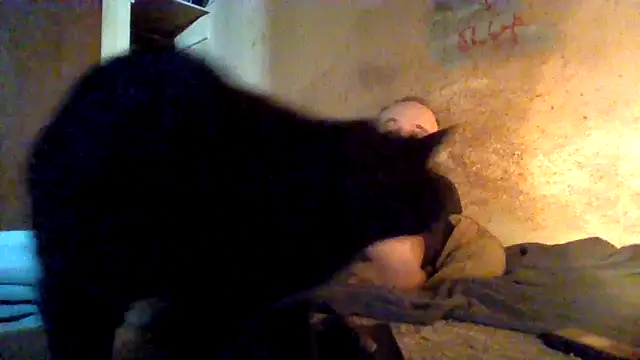 Show de webcam de reddragon66