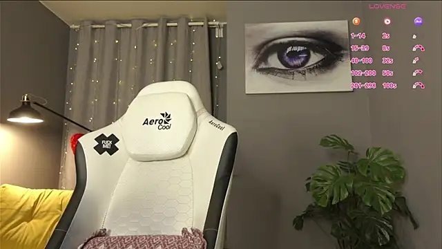 Show webcam de Megany