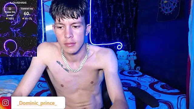 DominicPrince Adlı Modelin Canlı XXX Sohbeti