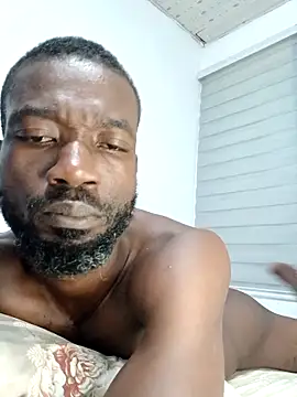 Chat XXX en directo de Bulletact