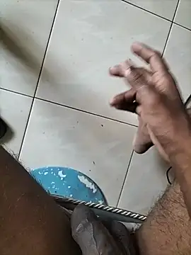 Chatroom XXX en direct de wildguy27