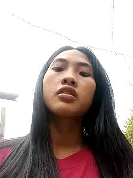 Hoa-tuylip Show Webcam